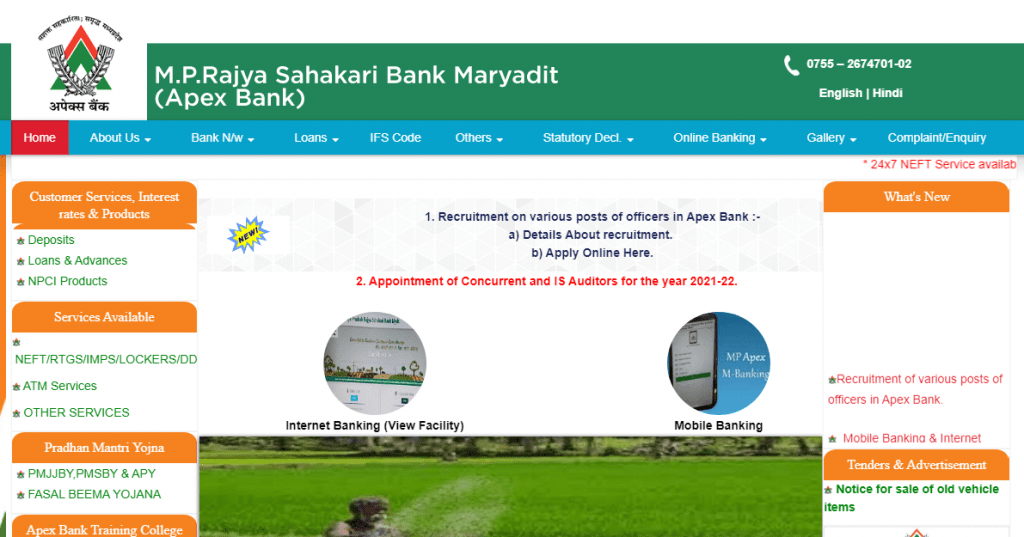 MP Apex Bank Recruitment 2021