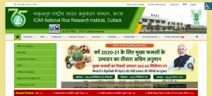 ICAR NRRI Cuttack Recruitment