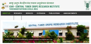 CTCRI Bhubaneswar Recruitment