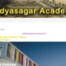Vidyasagar Academy Bargarh