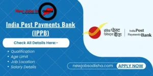 IPPB Executive Recruitment 2024