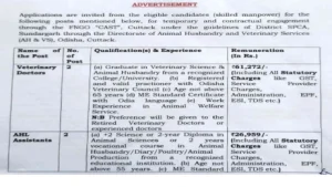 CDVO Sundargarh Recruitment 2025