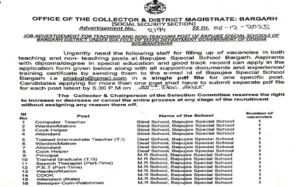 Bargarh Bapuji School Recruitment 2025